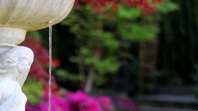 Water Fountain in Garden Springtime with Blooming Azaleas