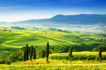 Fototapeta na wymiar Tuscany - Italy
