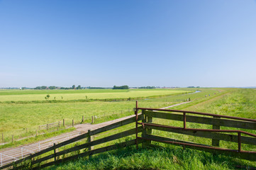Fototapeta na wymiar Dutch agrucultural landscape