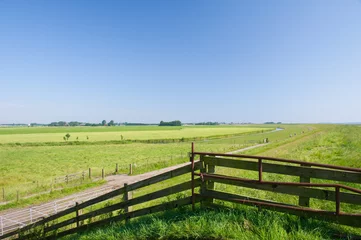 Plexiglas foto achterwand Dutch agrucultural landscape © MartinW