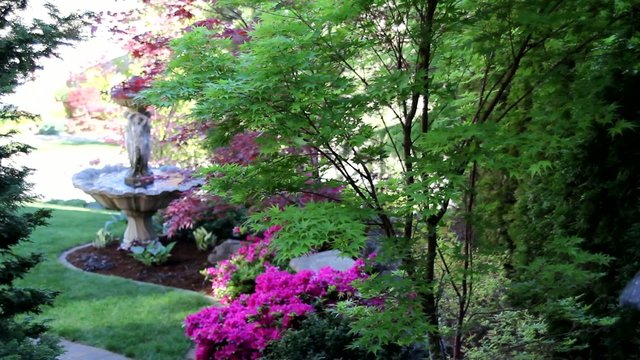 Water Fountain in Colofrul Garden Spring Season