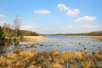 landscape with lake