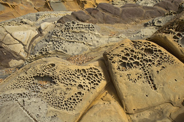 Pebble beach tafoni formations at Bean Hollow State Beach in Cal