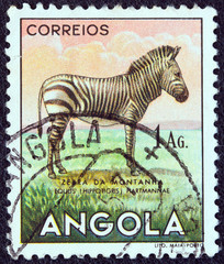 Zebra (Angola 1953)