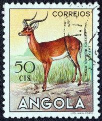 Impala (Angola 1953)