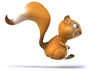 Fun squirrel