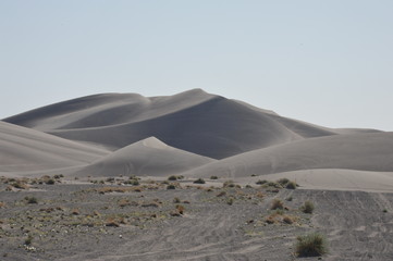 Mesquite Flat Sand Dunes