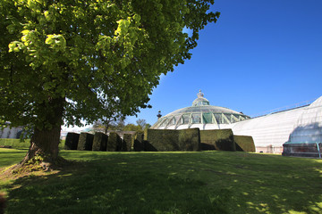 Obraz premium Belgique Serres royales de Laeken