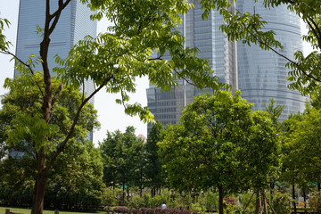 Fototapeta premium Pudong