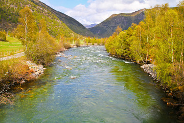 Torrent et forêt en Norvège
