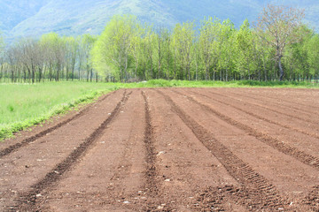 campo arato e seminato_ campagna