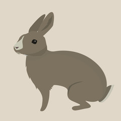 hare the forest long-eared