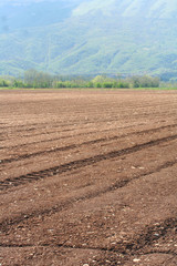 campo arato e seminato_ campagna