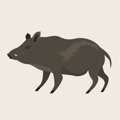 boar the ordinary forest vector illustration