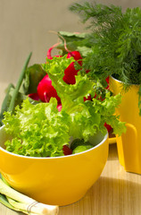 Fresh spinach , cucumbers and tomatoes