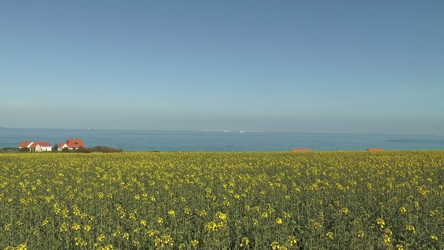 pr&egrave;s de wissant