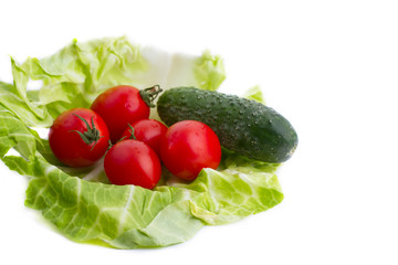Tomatoes and cucumber are in the cabbage leaf