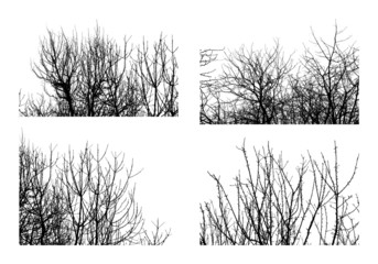 Black silhouettes of trees isolated on white. Set 2.
