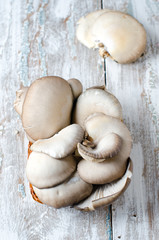Mushrooms oyster mushrooms