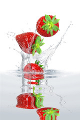 Obst 320