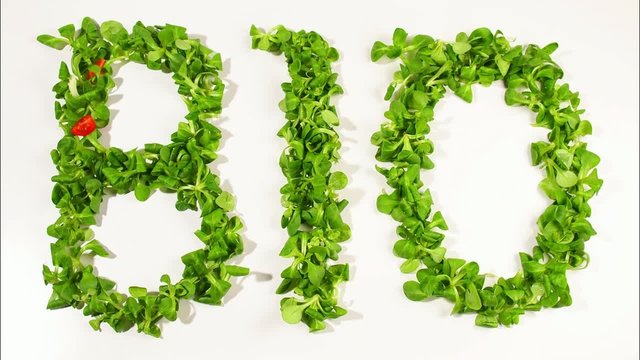 Bio - Salat