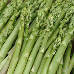 Obraz premium grüner Spargel