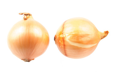 Fototapeta premium onions isolated on white background