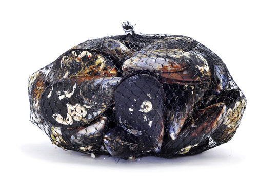 mussels in a mesh bag