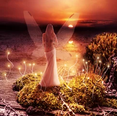  Fantasie magische wereld. Pixie en zonsondergang © katalinks