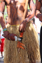 Indios Potiguara, Brasile
