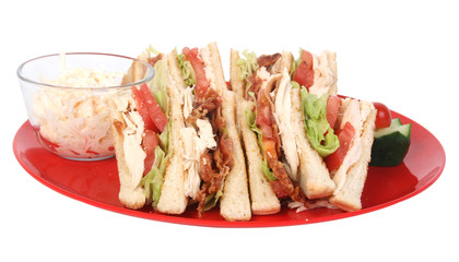 chicken club sandwich