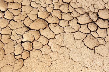 Sequía, terreno reseco