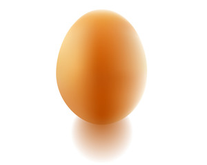 chicken egg