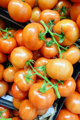 Fresh tomatoes in boxes
