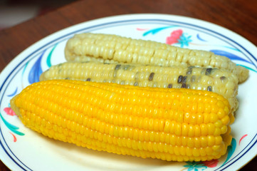 yellow corn in a bowl.