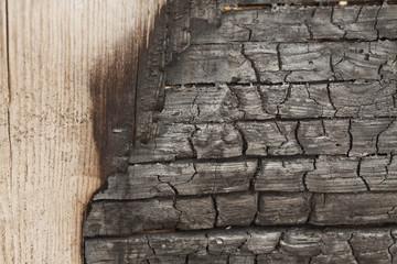Verbranntes Holz