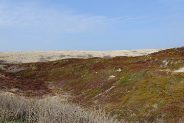 Dünenlandschaft