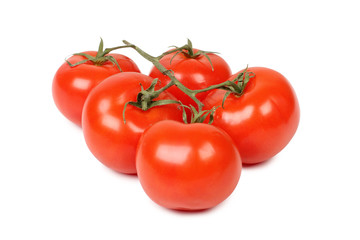 Tomatoes on branch