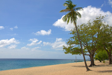 Playa de Filipinas