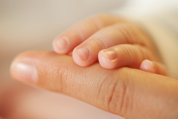 Baby and mother hands © elitravo