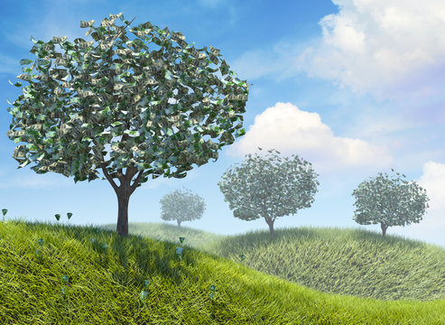 Money growing on a tree