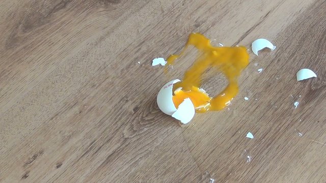 video ei faellt auf boden I