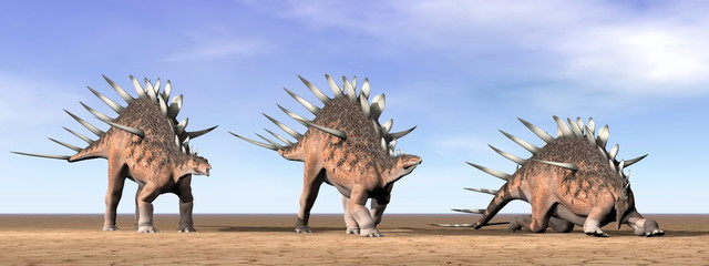 Kentrosaurus dinosaurs in the desert - 3D render