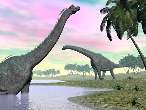 Brachiosaurus dinosaurs in nature - 3D render