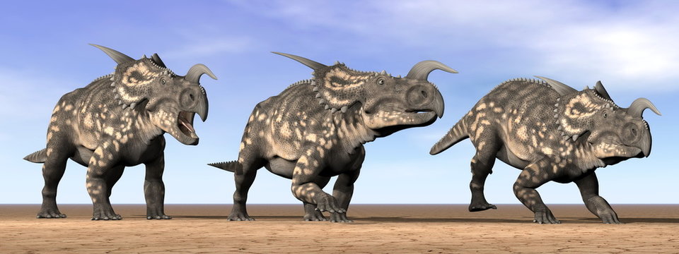 Einiosaurus dinosaurs in the desert - 3D render