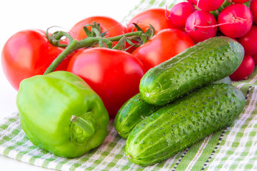 Young vegetables of a new crop: a branch of tomatoes, cucumbers,