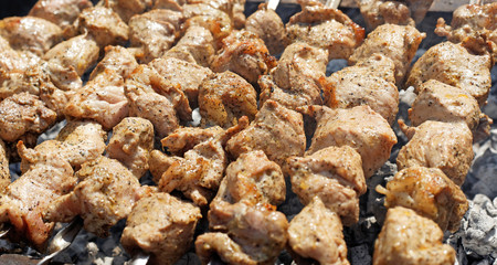 cooking fresh barbecue