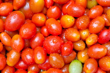 fresh tomatos background