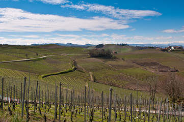 Fototapeta premium Valley_1