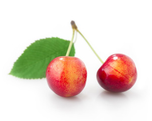 two cherries with leaf isolated on white